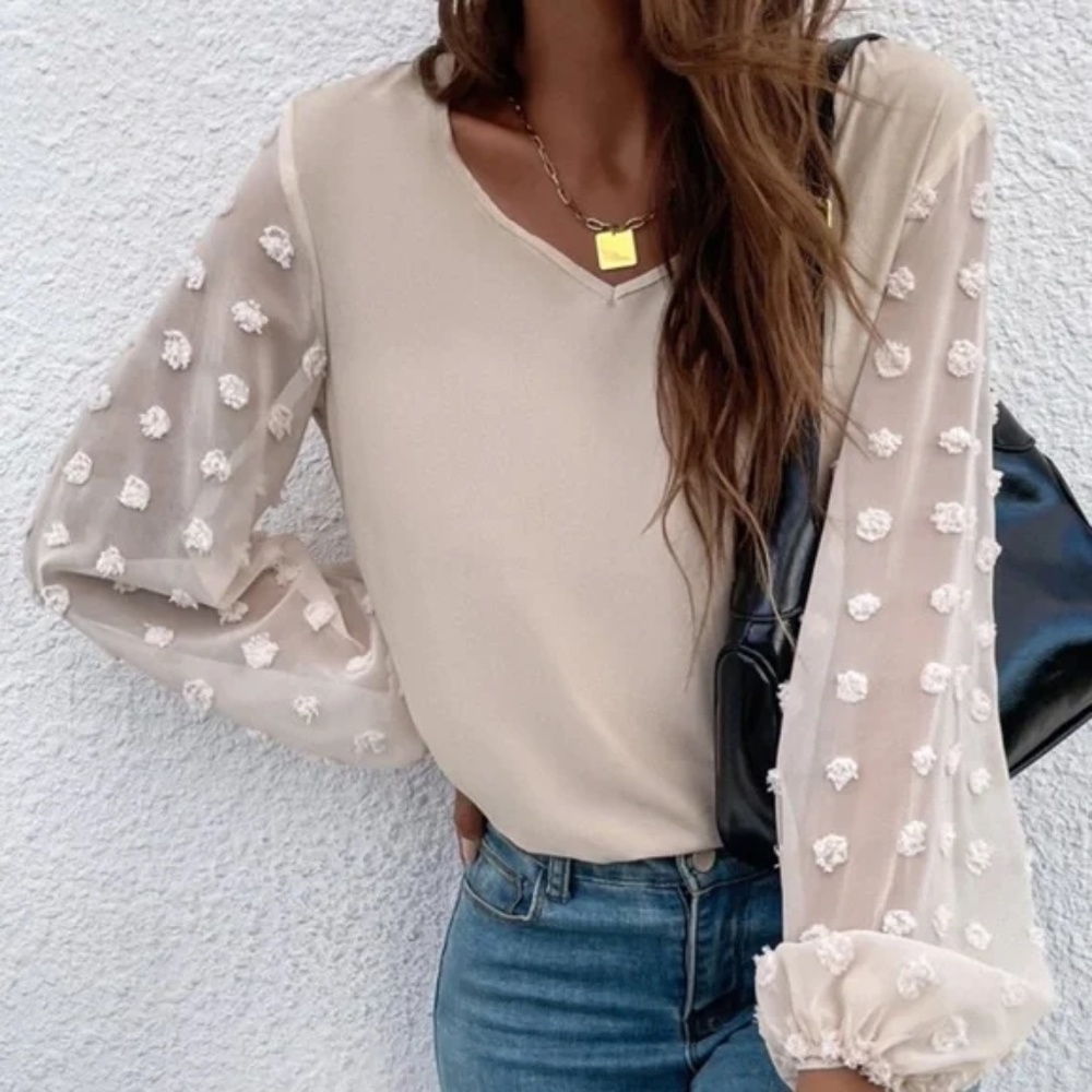 Swiss Dot Sheer Sleeve V neck  Minimalist Top